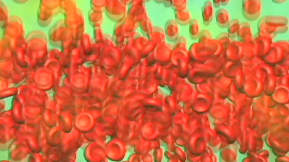 Illustration of Blood Cells