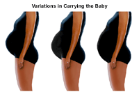Variations In Carrying The Baby